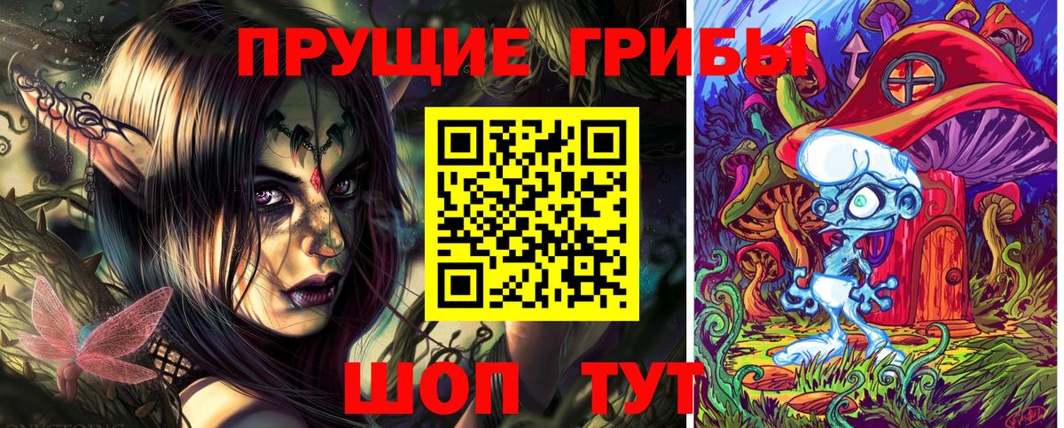 Псилоцибиновые грибы Psilocybine cubensis  Вход с VPN  Сибай 